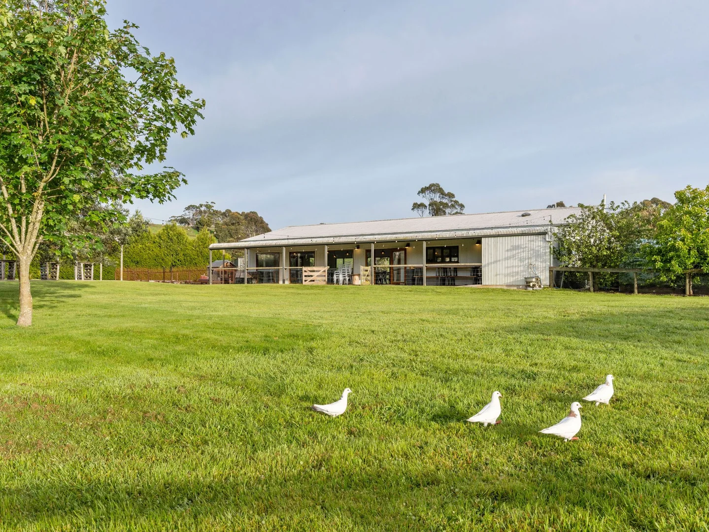 Additional image 37 of 309 West Ridgley Road, West Ridgley TAS 7321