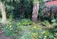 Additional image 33 of Wood Lane, Wickersley, Rotherham, South Yorkshire, S66
