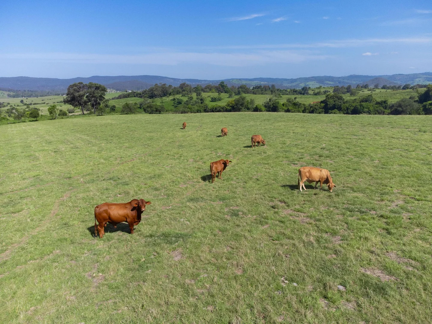 Additional image 22 of 219 Stanfield Rd, Teviotville QLD 4309