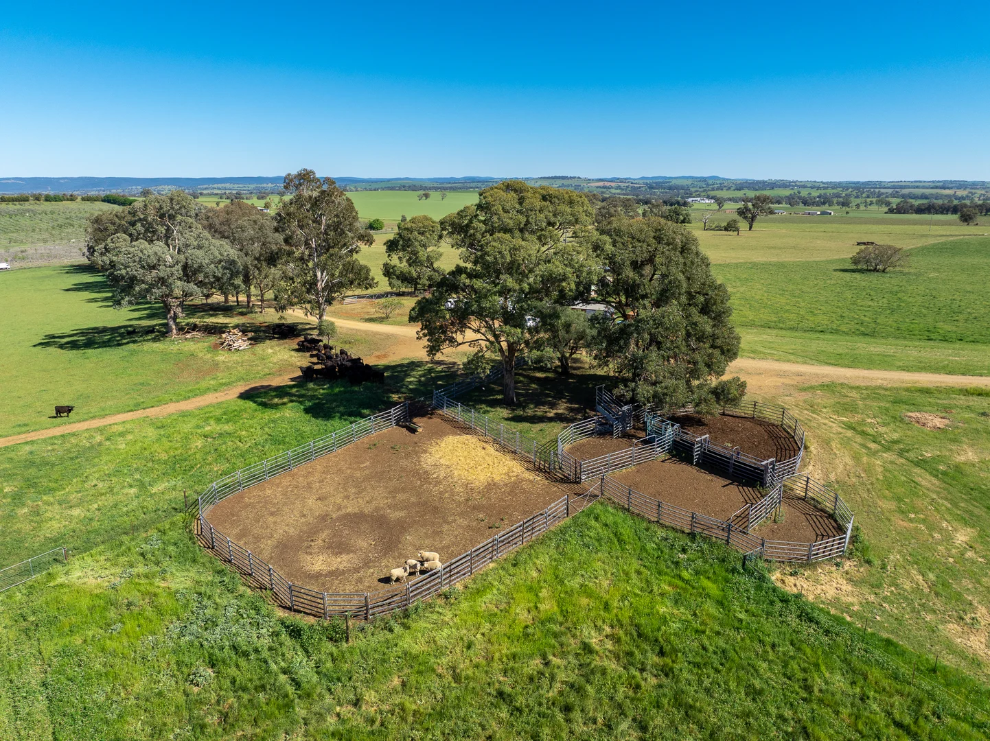 Additional image 12 of 1097 Davys Plains Road, Cudal NSW 2864