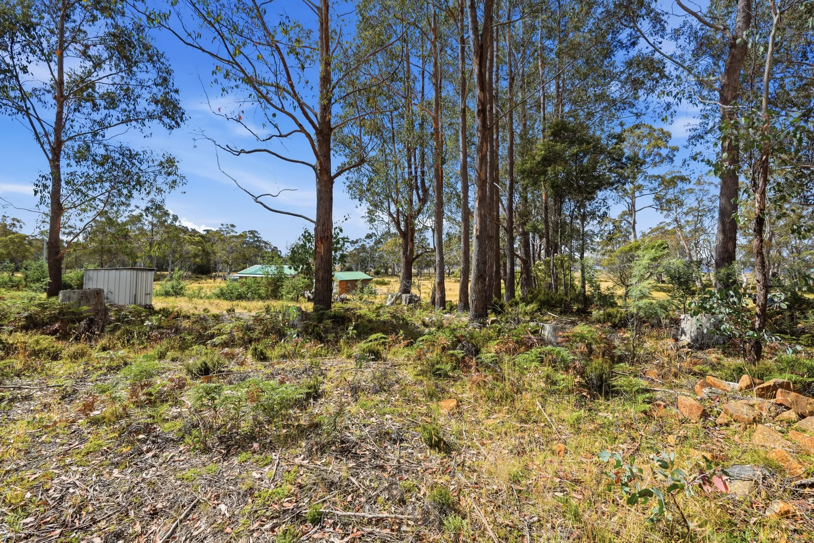 Additional image 27 of 49 Laycock Drive, Interlaken TAS 7030