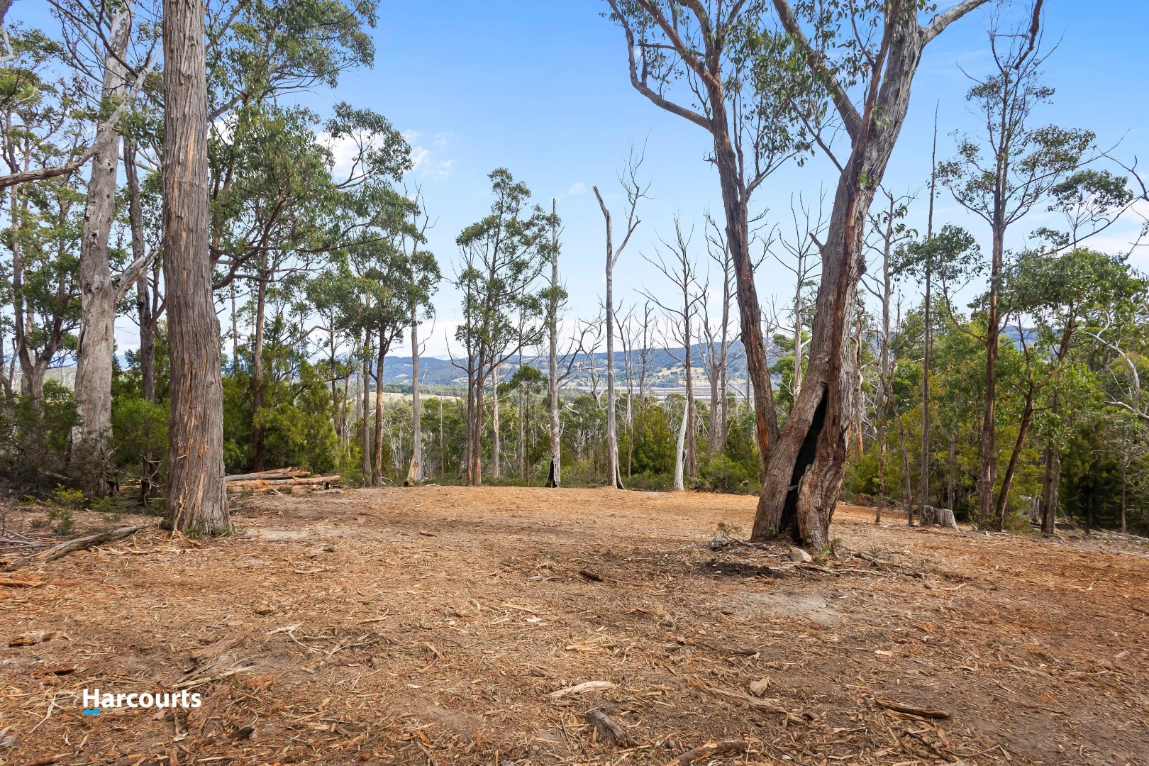 Additional image 4 of Lot 1 Slaters Road, Cradoc TAS 7109