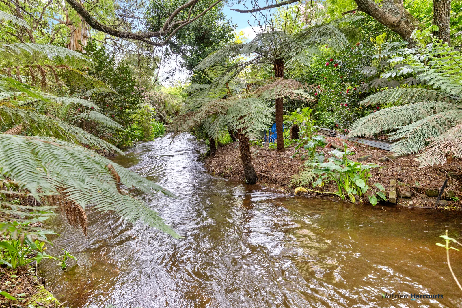 Additional image 22 of 47 Mareeba Avenue, Buxton VIC 3711