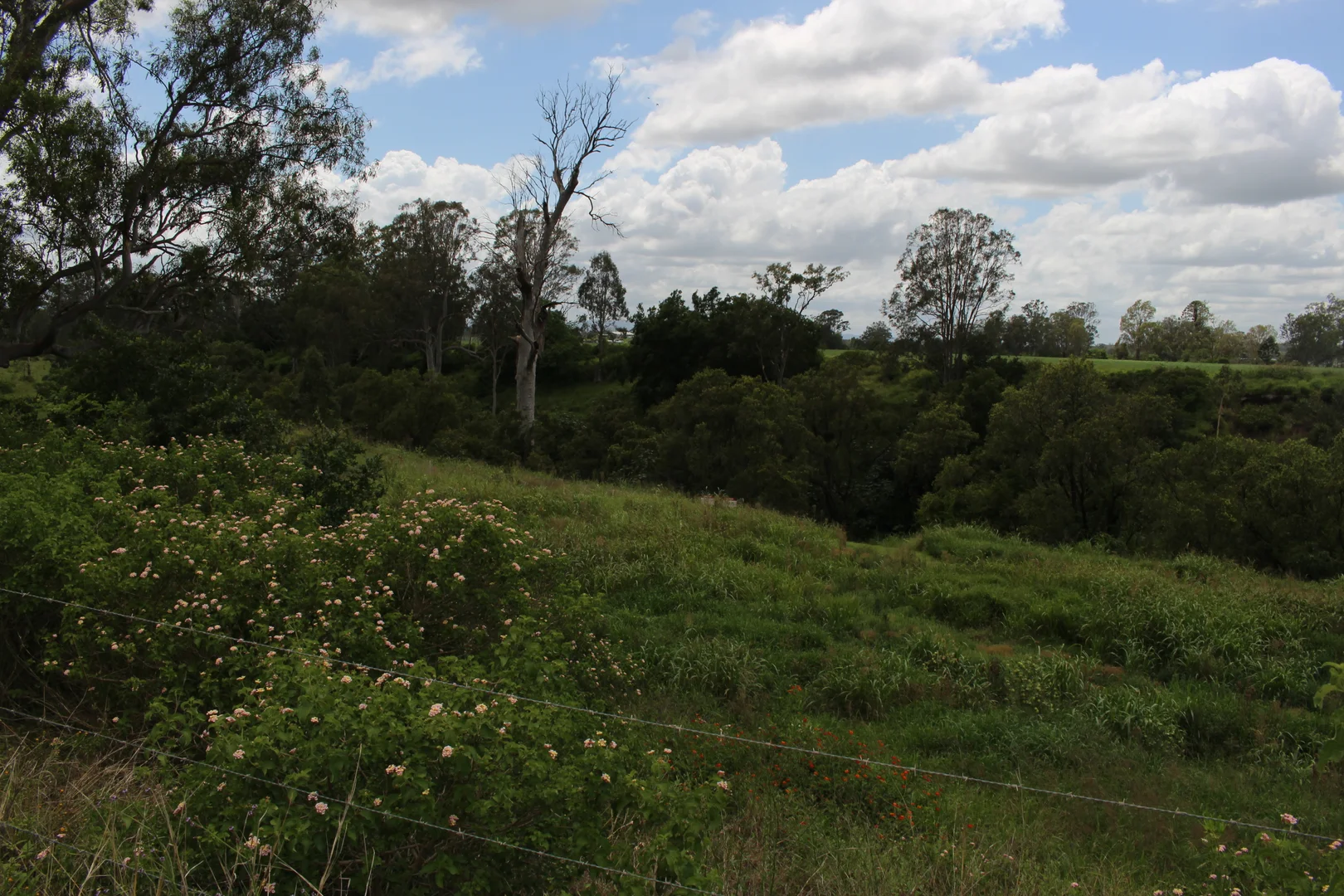 Additional image 17 of 70 Schimkes Lane, Clarendon QLD 4311