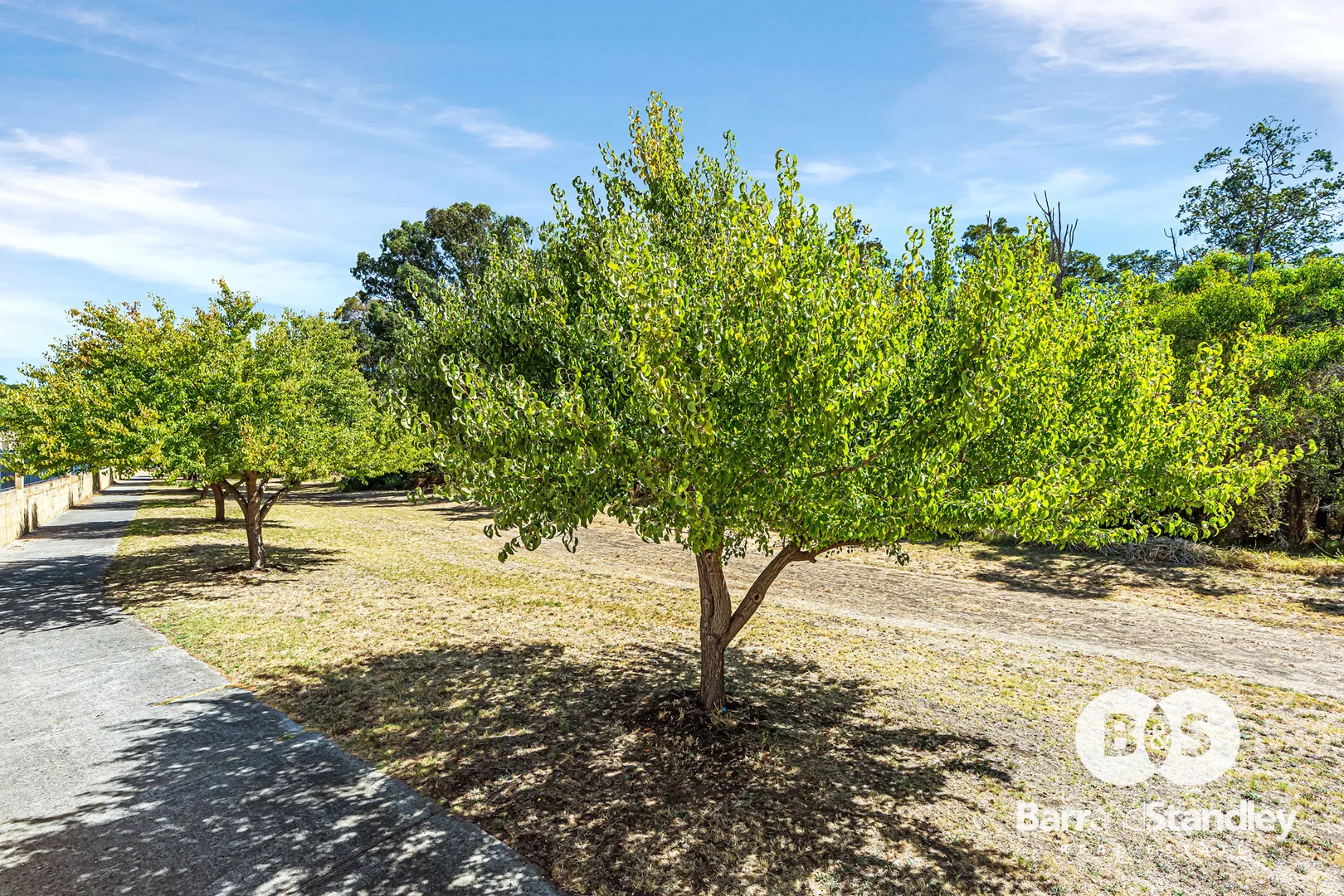 Additional image 7 of 66 Dawson Place, Donnybrook WA 6239