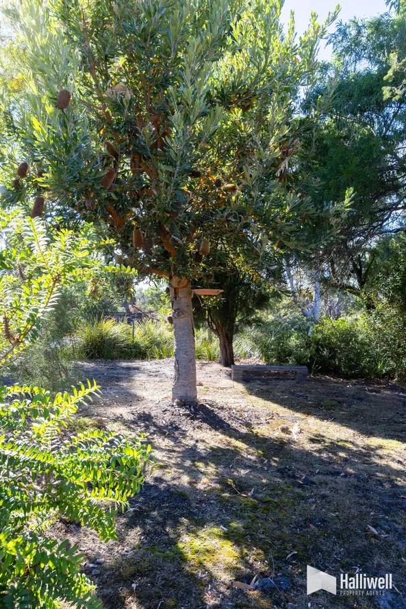 Additional image 17 of 15 Squeaking Point Esplanade, Squeaking Point TAS 7307