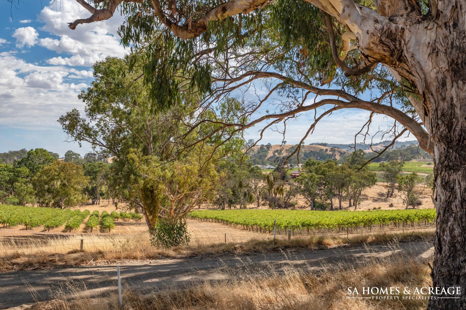 Additional image 18 of 44 South Terrace, Williamstown SA 5351