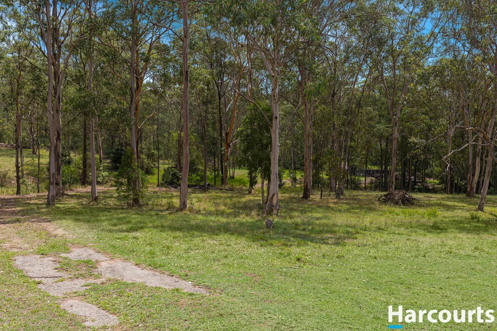 Additional image 20 of 1416 Webbers Creek Road, Paterson NSW 2421