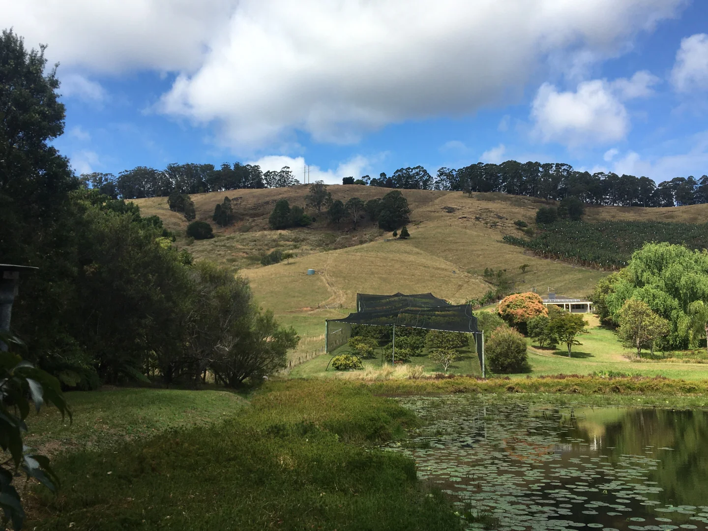 Additional image 14 of 265A South Boambee Road, Boambee NSW 2450