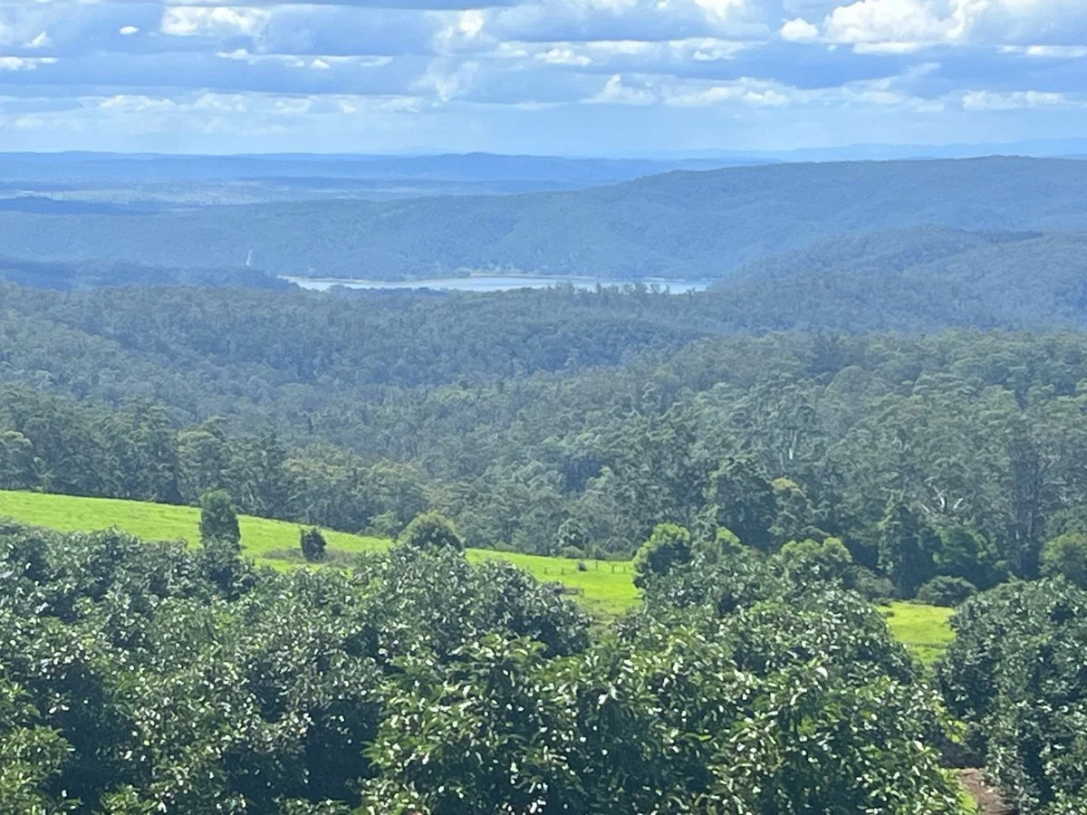 Additional image 2 of 55 Horrex Road, Ravensbourne QLD 4352