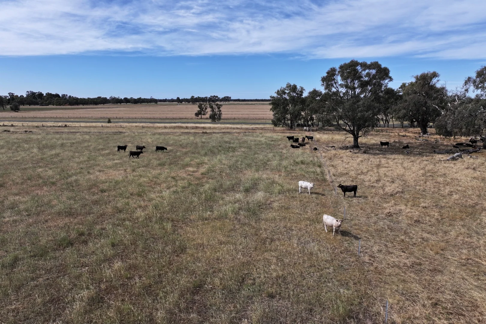 Additional image 10 of 1800 Mt Terrick Road, Roslynmead VIC 3564