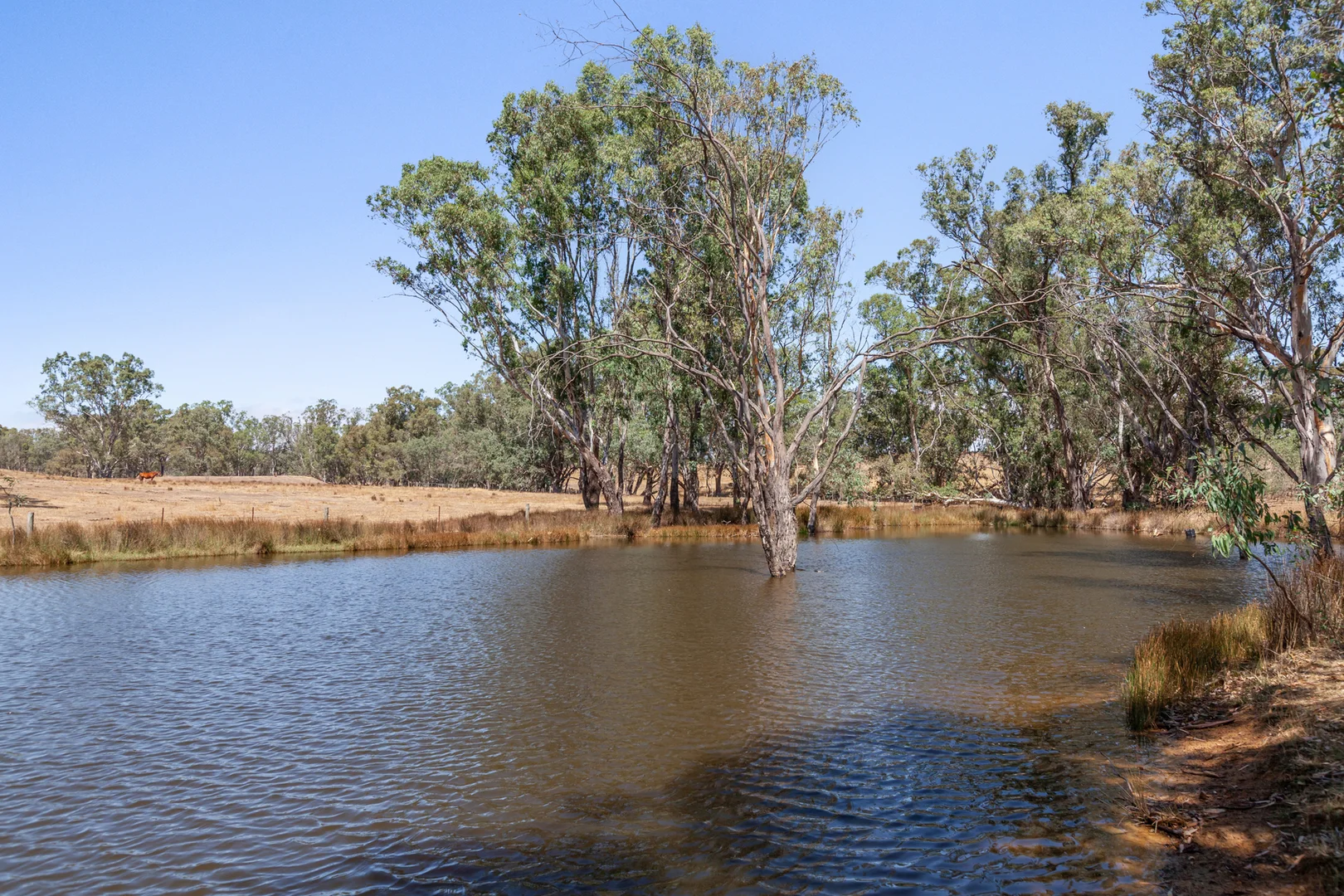 Additional image 24 of 15 Kelly Court, Tallarook VIC 3659