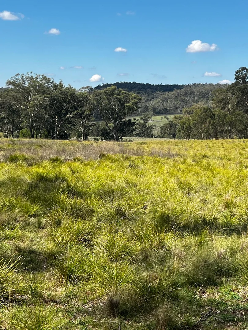 Additional image 13 of Lot 18 Hulks Road, Merriwa NSW 2329