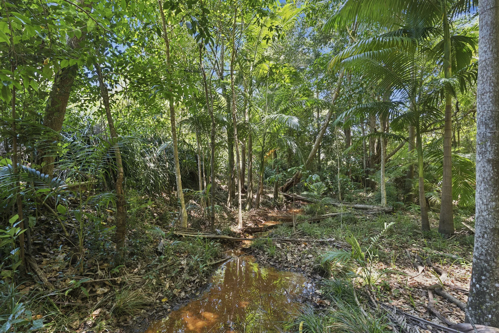 Additional image 10 of 2A Evans Street, Bellingen NSW 2454