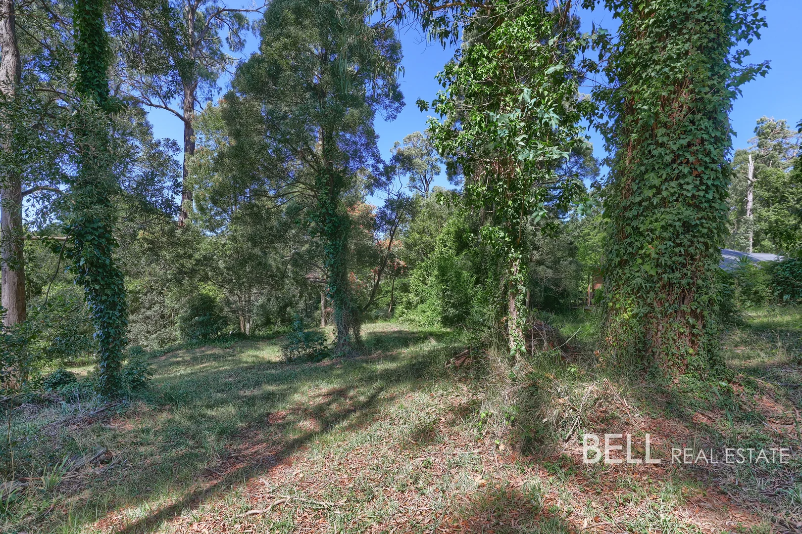 Additional image 5 of 12 Lakeside Drive, Emerald VIC 3782