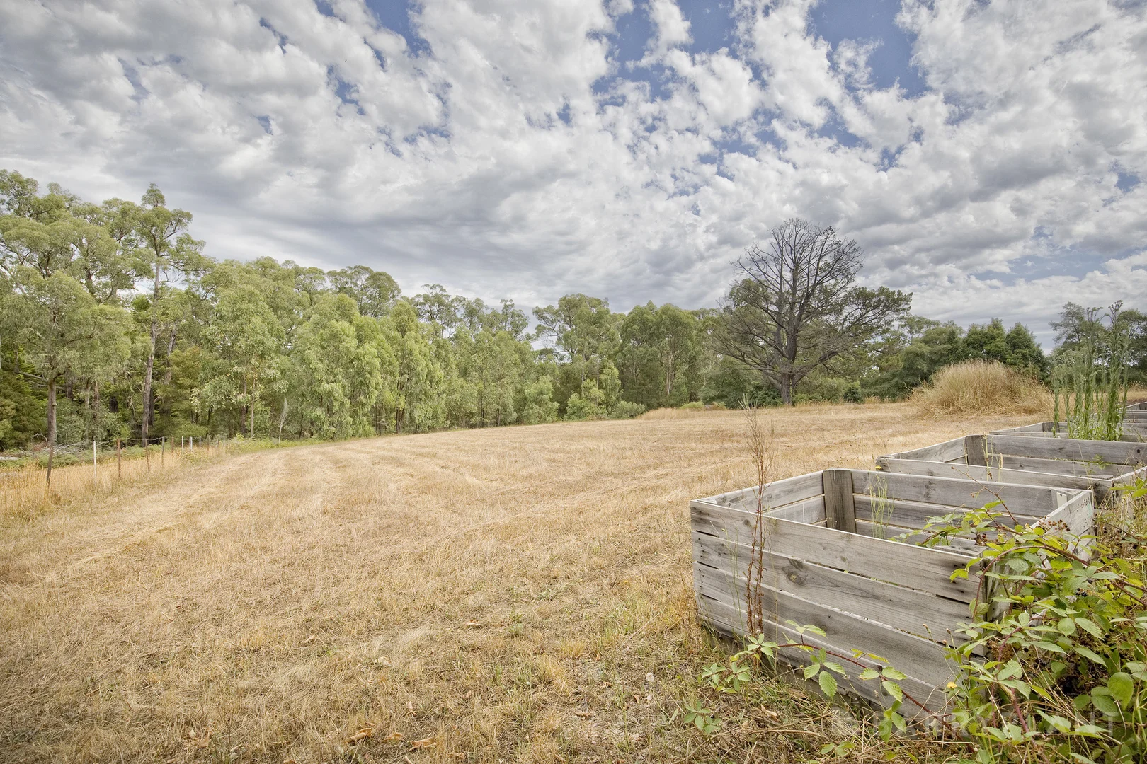 Additional image 3 of 29 Avon Road, Avonsleigh VIC 3782