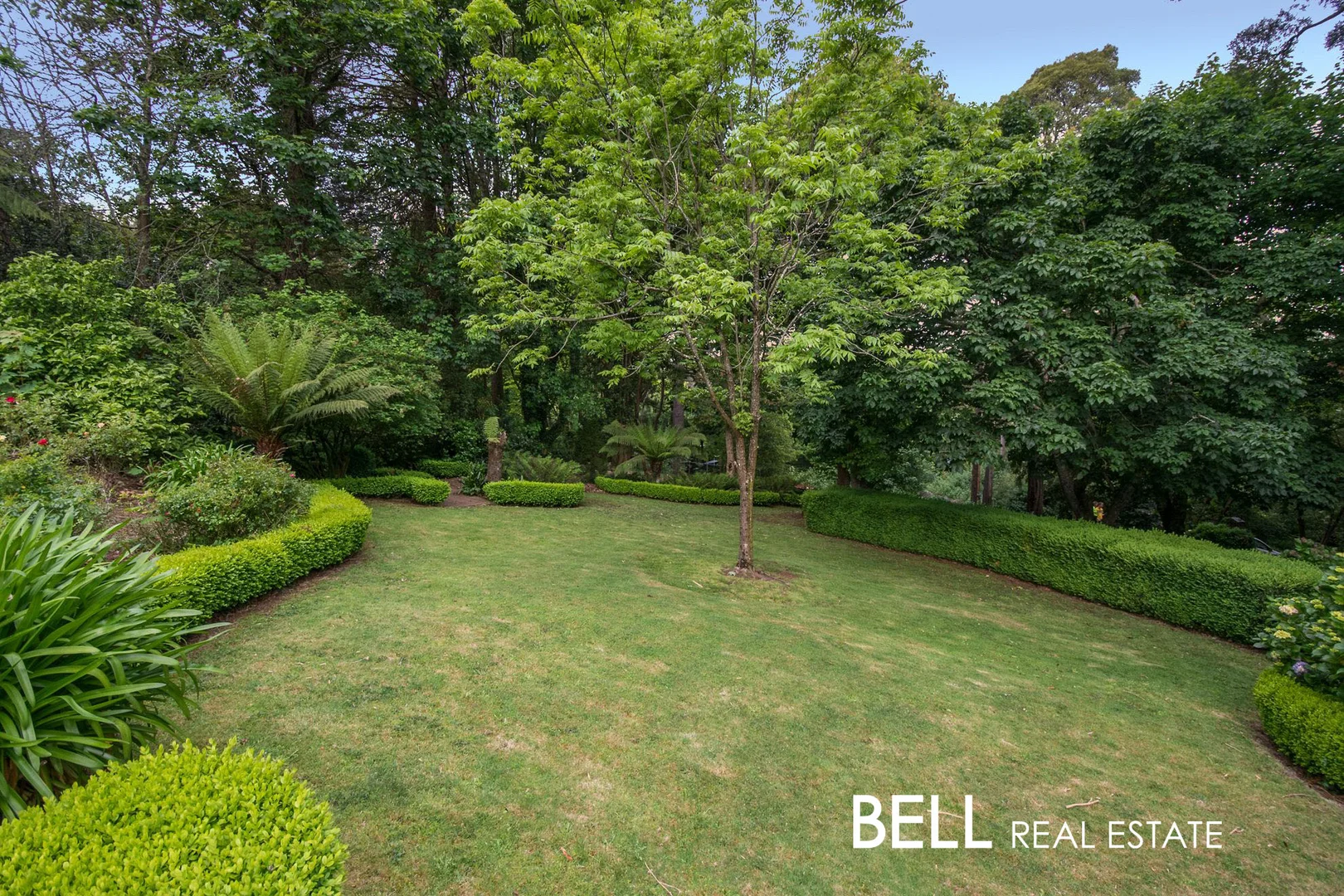 Additional image 22 of 157 Ridge Road, Mount Dandenong VIC 3767