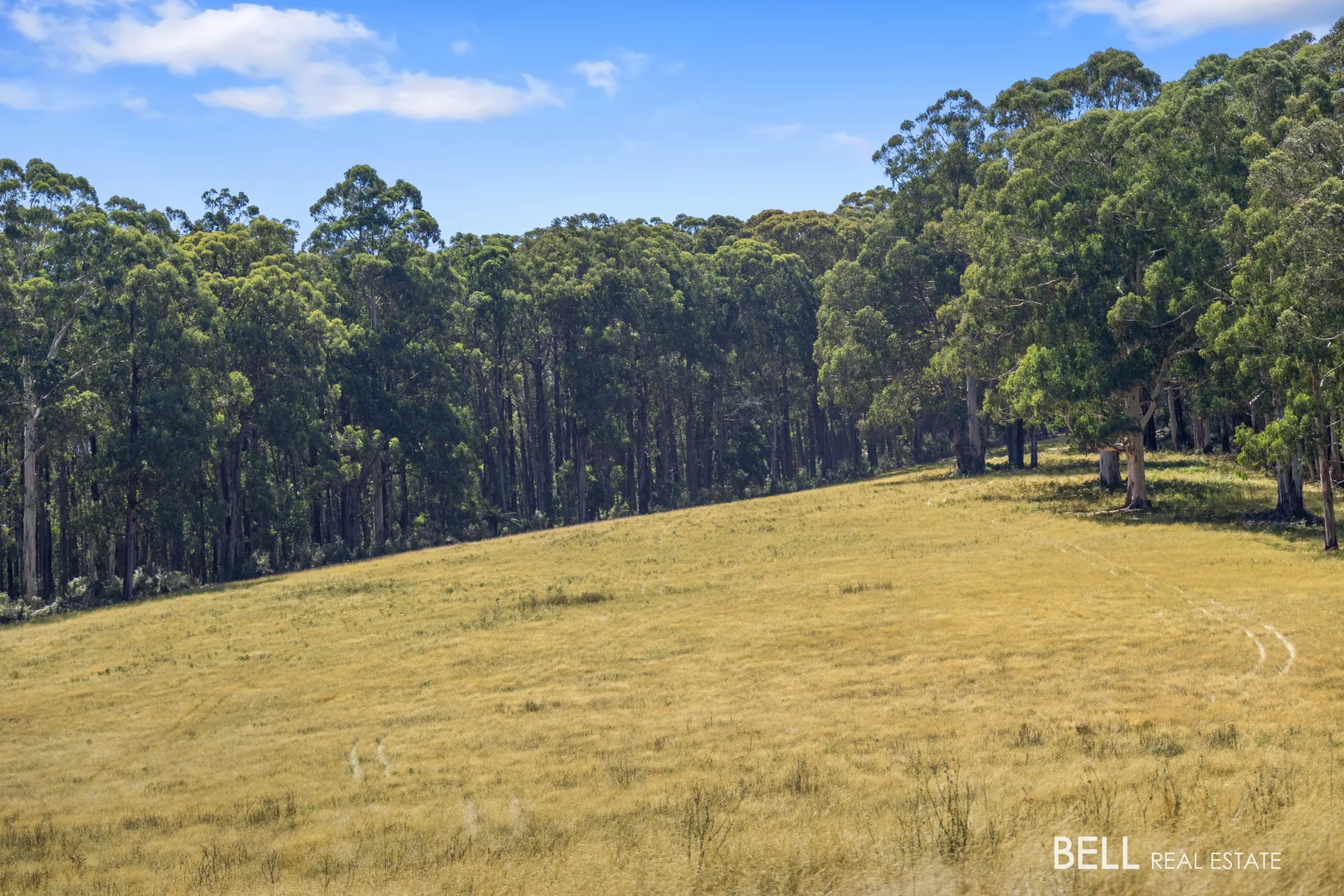 Additional image 12 of 1145 Little Yarra Road, Three Bridges VIC 3797