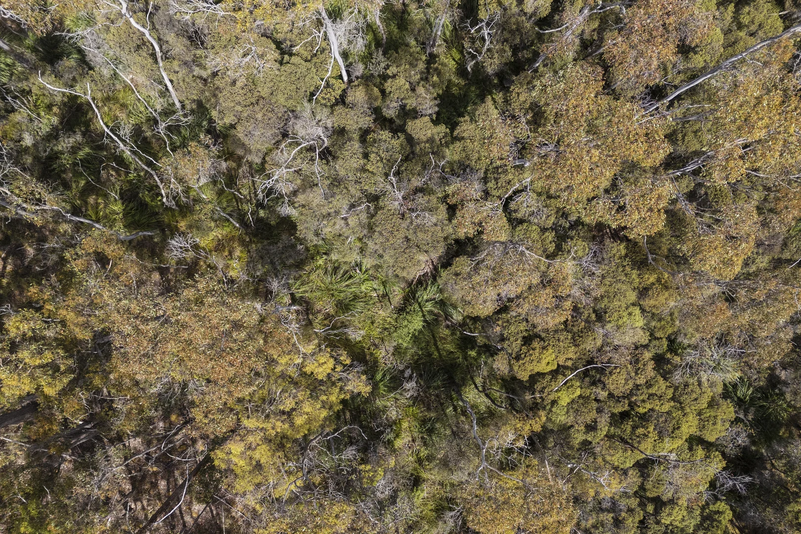 Additional image 7 of 6184 Arthur Highway, Taranna TAS 7180