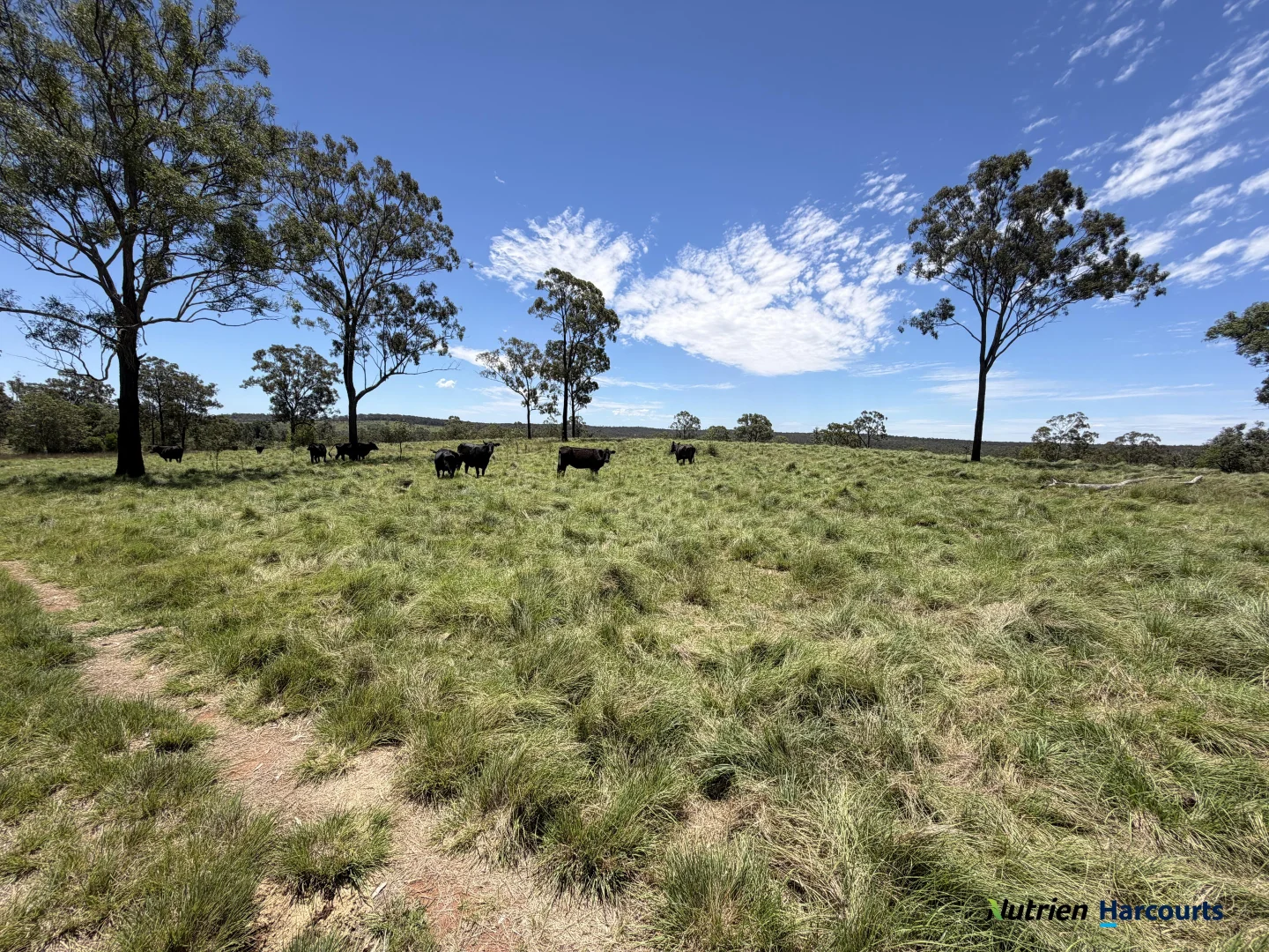 Additional image 31 of 960 Dangore Mountain Road, Dangore QLD 4610