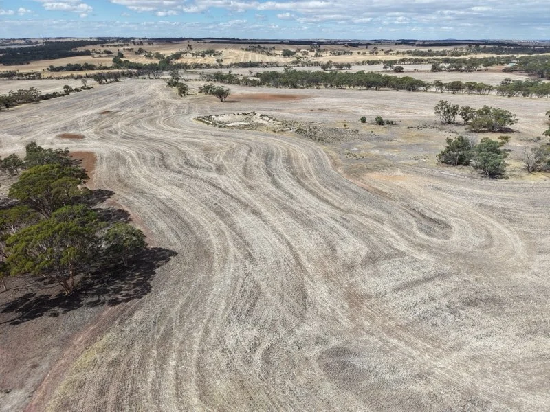Additional image 26 of 8662 Cunderdin-Quairading Road, Youndegin WA 6407