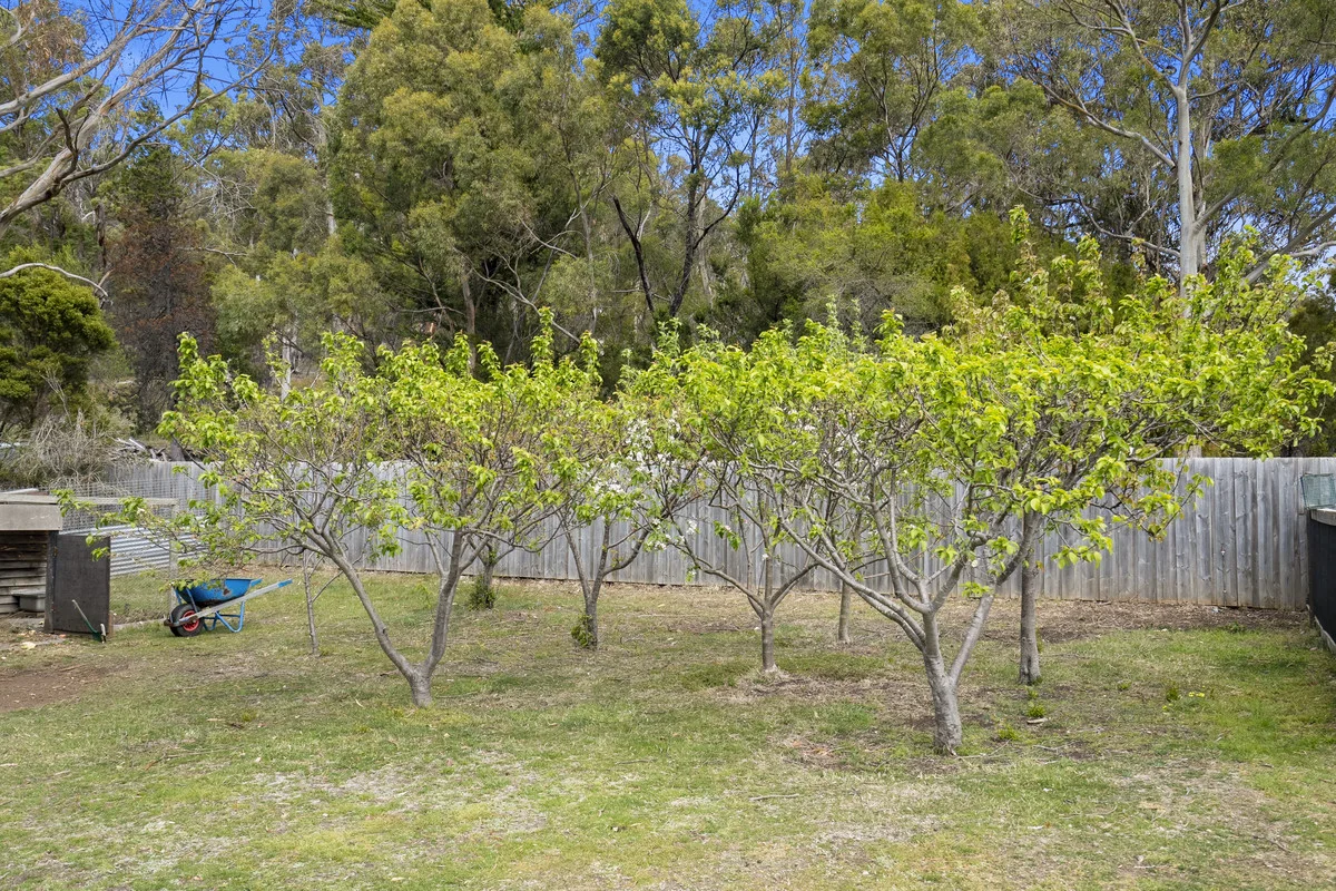 Additional image 6 of 23 Mary Street, Orford TAS 7190