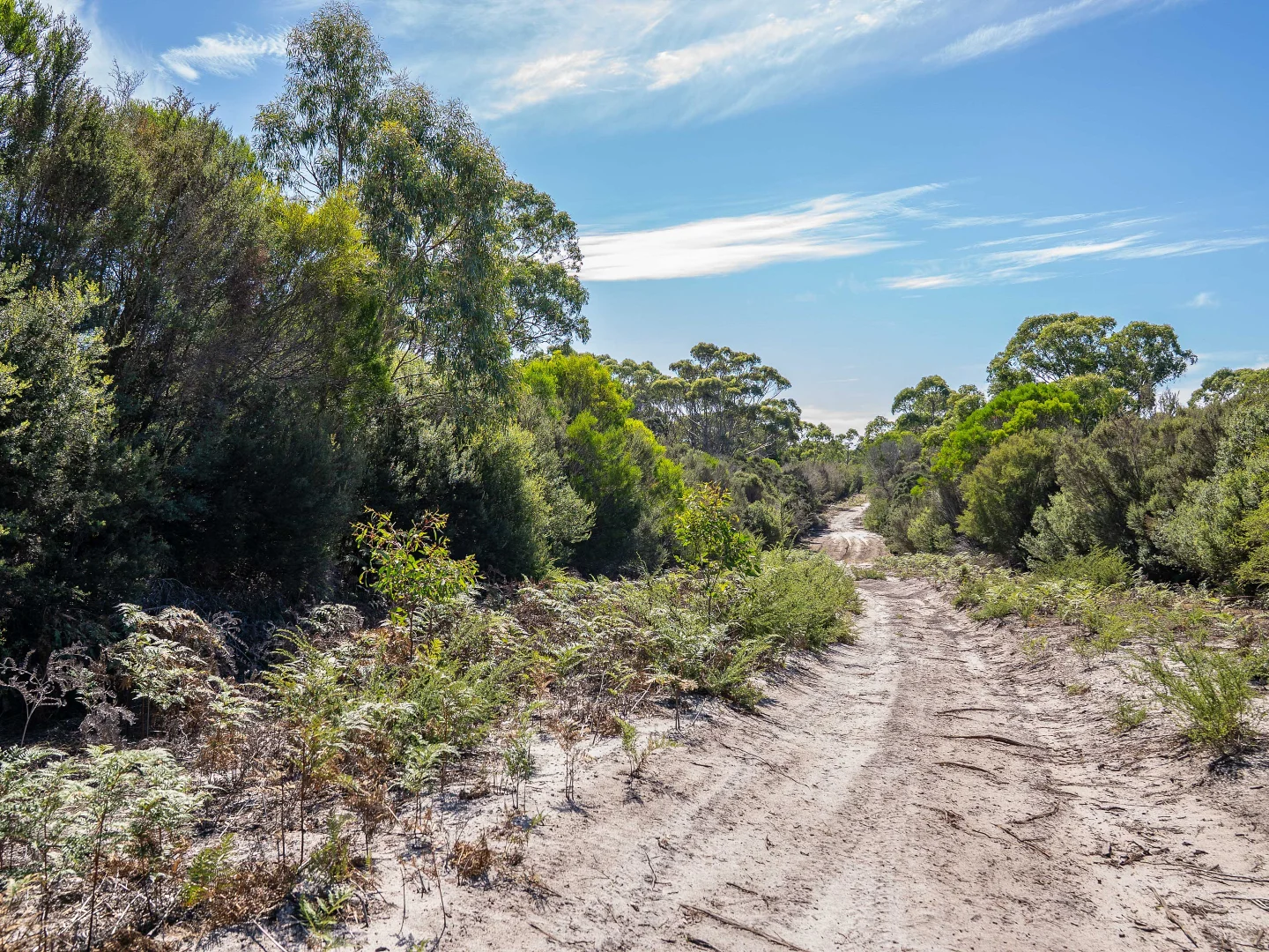 Additional image 6 of . Pot Boil Road, Lady Barron TAS 7255