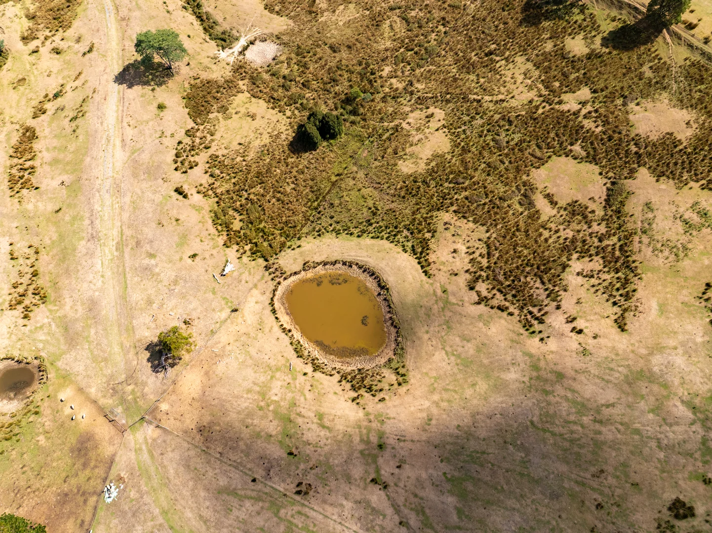 Additional image 6 of Lot 1 Holwell Road, Frankford TAS 7275