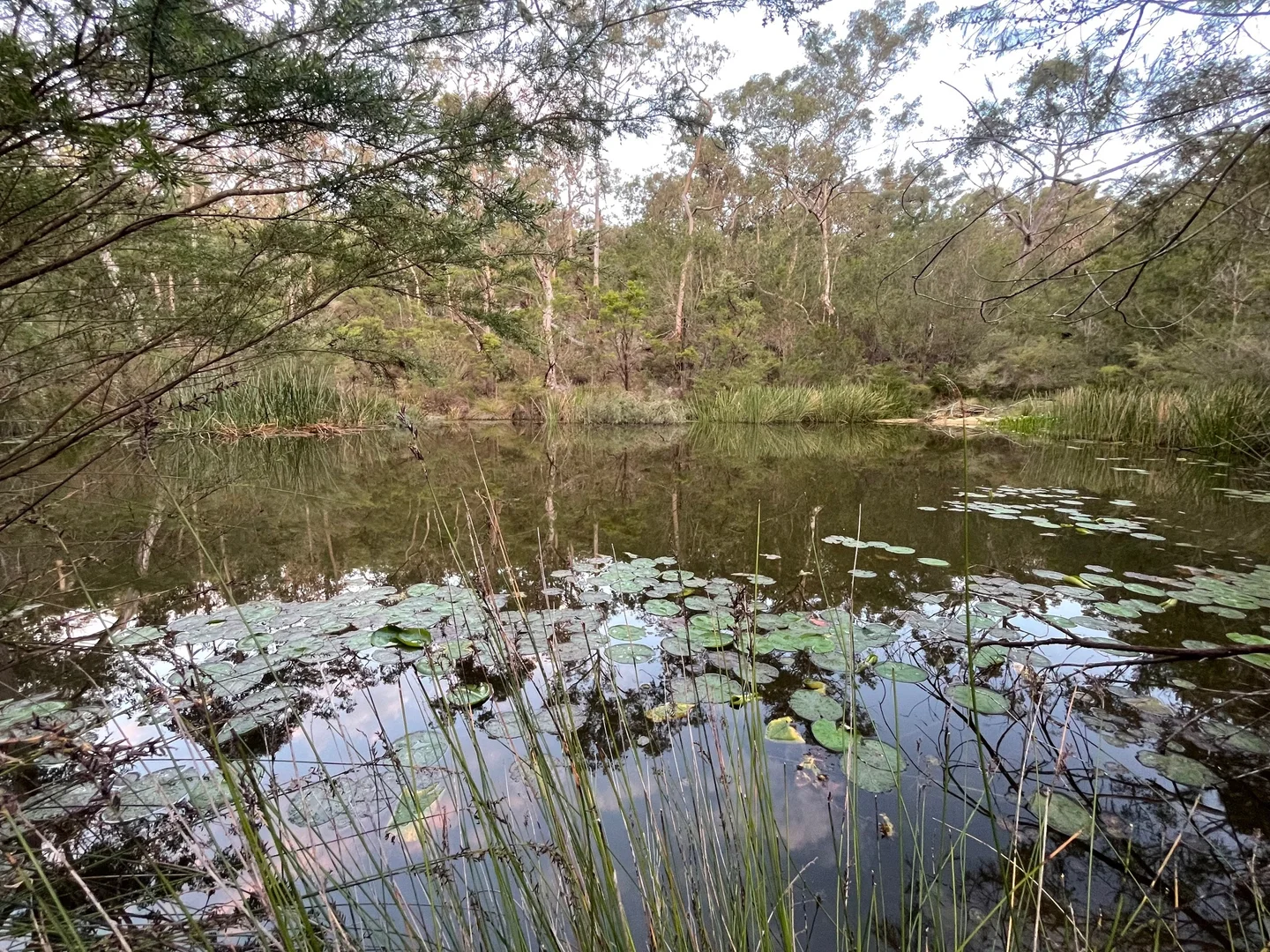 Additional image 18 of South Maroota NSW 2756