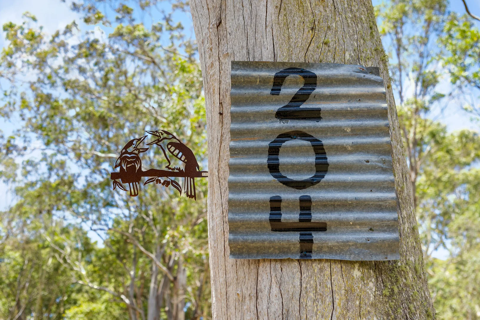 Additional image 16 of 204 Congo Road, Moruya NSW 2537