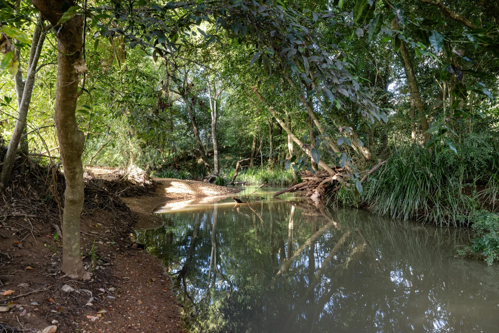 Additional image 39 of 70 Candoormakh Crescent, Nabiac NSW 2312