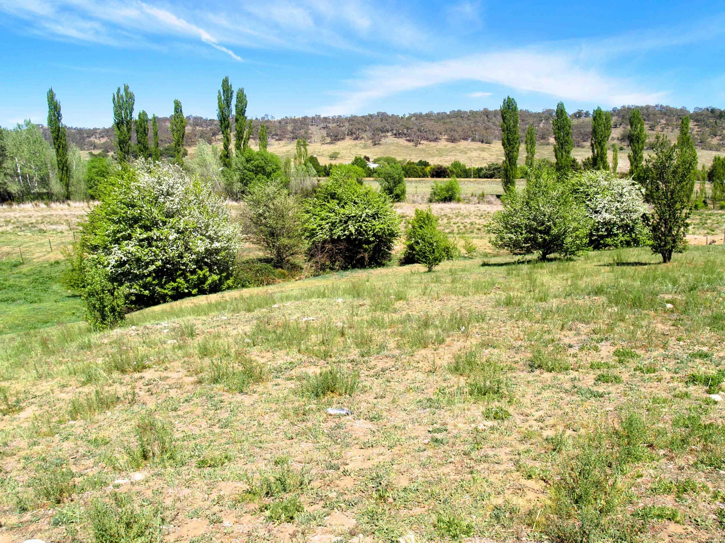 Additional image 9 of 28 Ryrie Street, Michelago NSW 2620