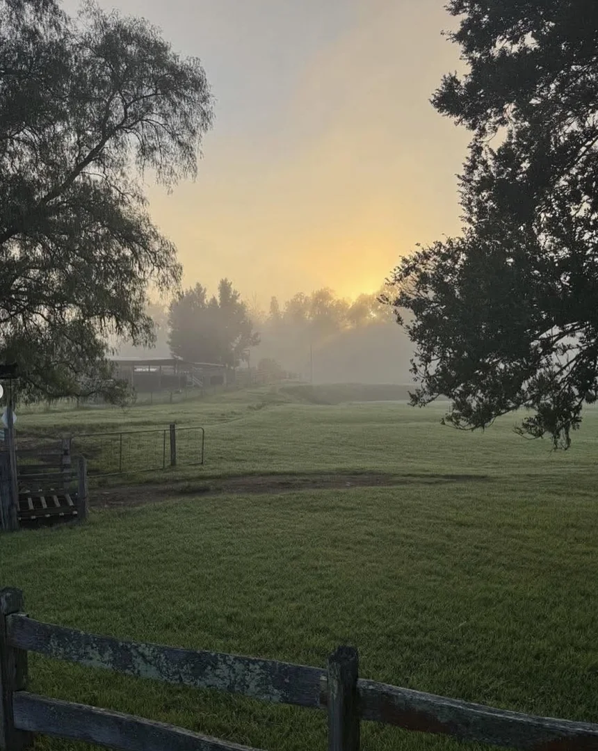 Additional image 40 of 689 Manchester Road, Via Gloucester, Bindera NSW 2422