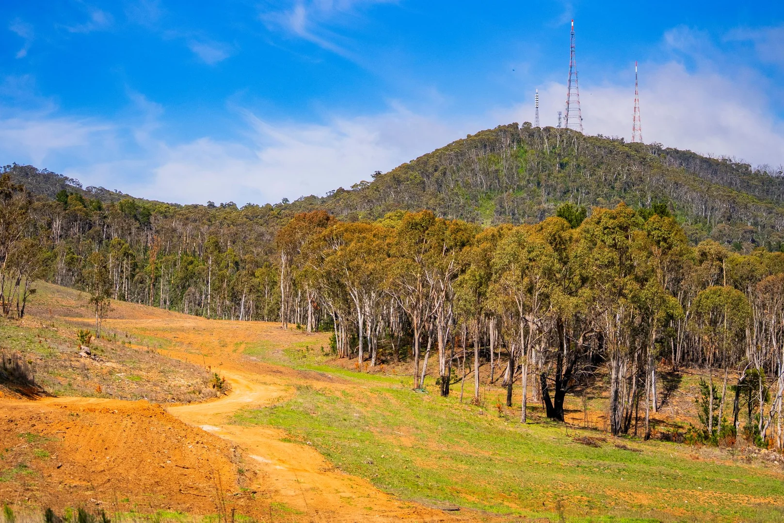 Additional image 12 of 1606 Mount Canobolas Road, Orange NSW, Orange NSW 2800