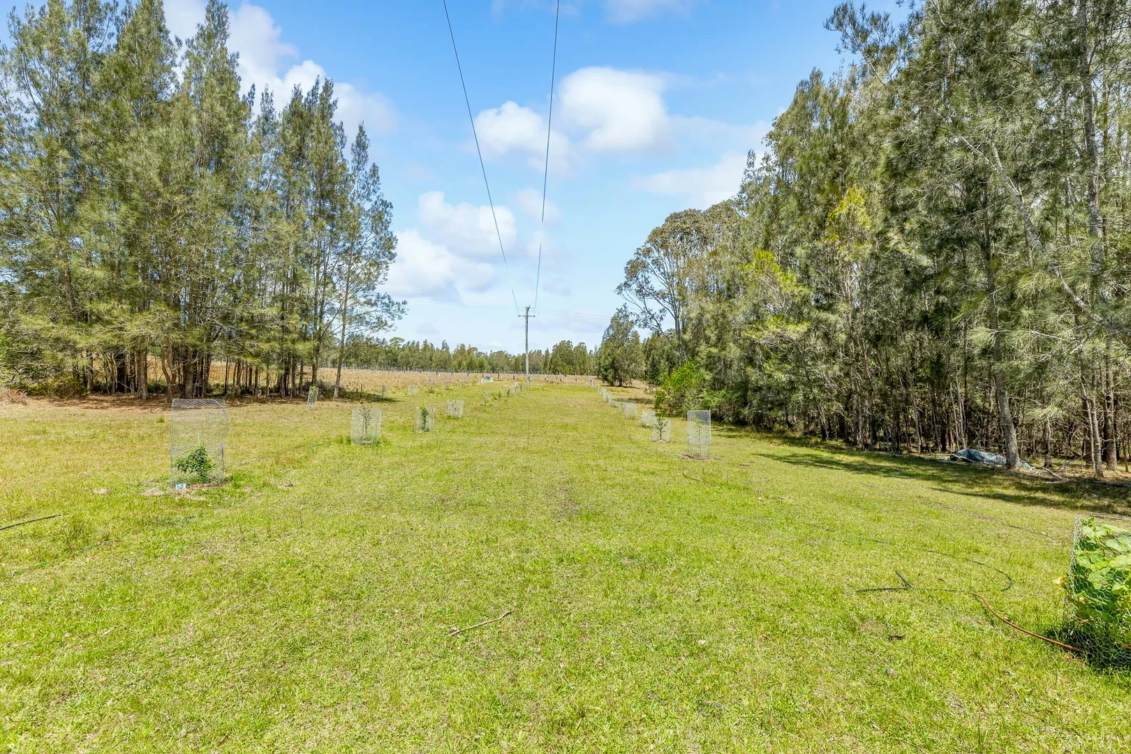 Additional image 4 of 204 Congo Road, Moruya NSW 2537