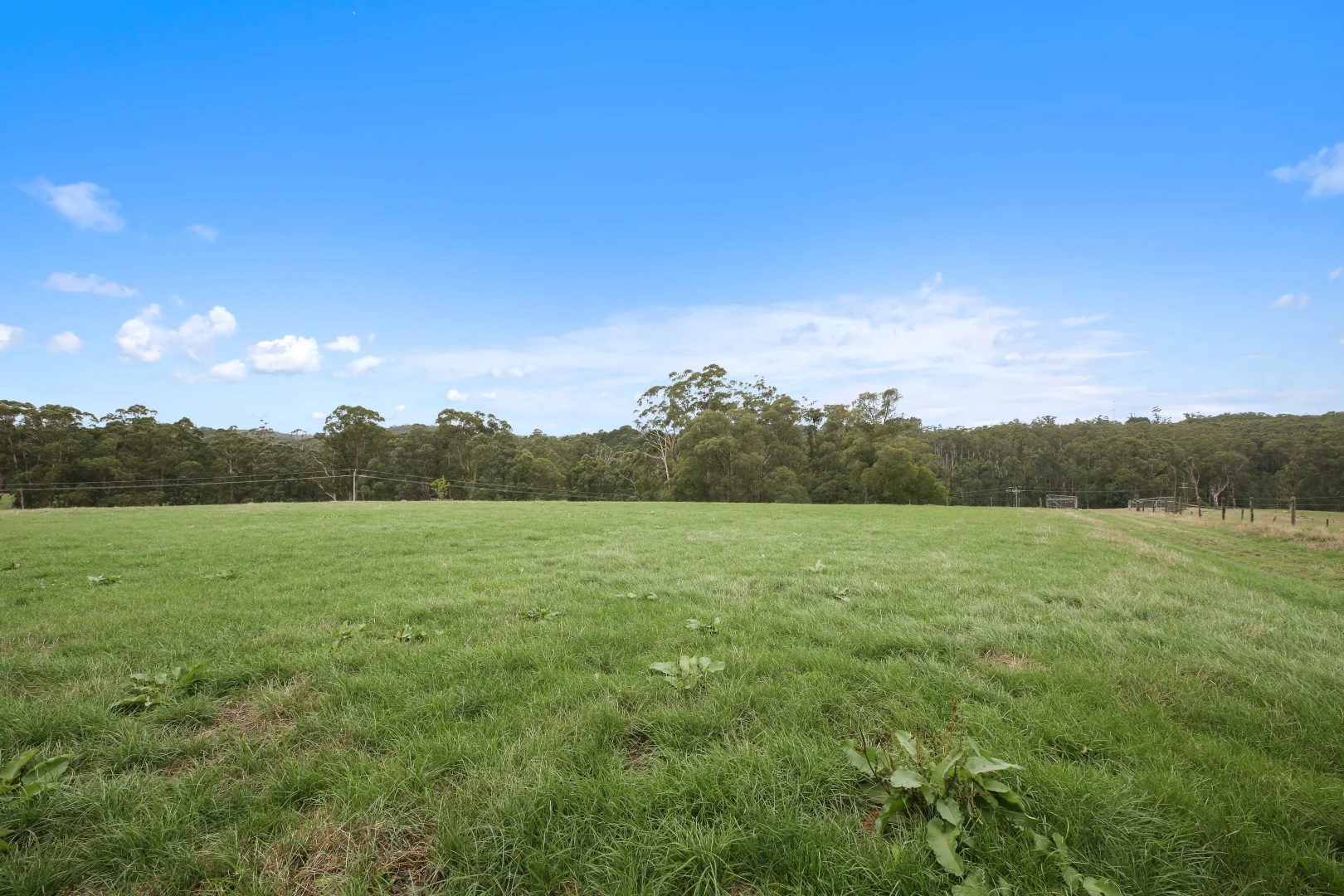 Additional image 24 of 1080 Main Neerim Road, Rokeby VIC 3821