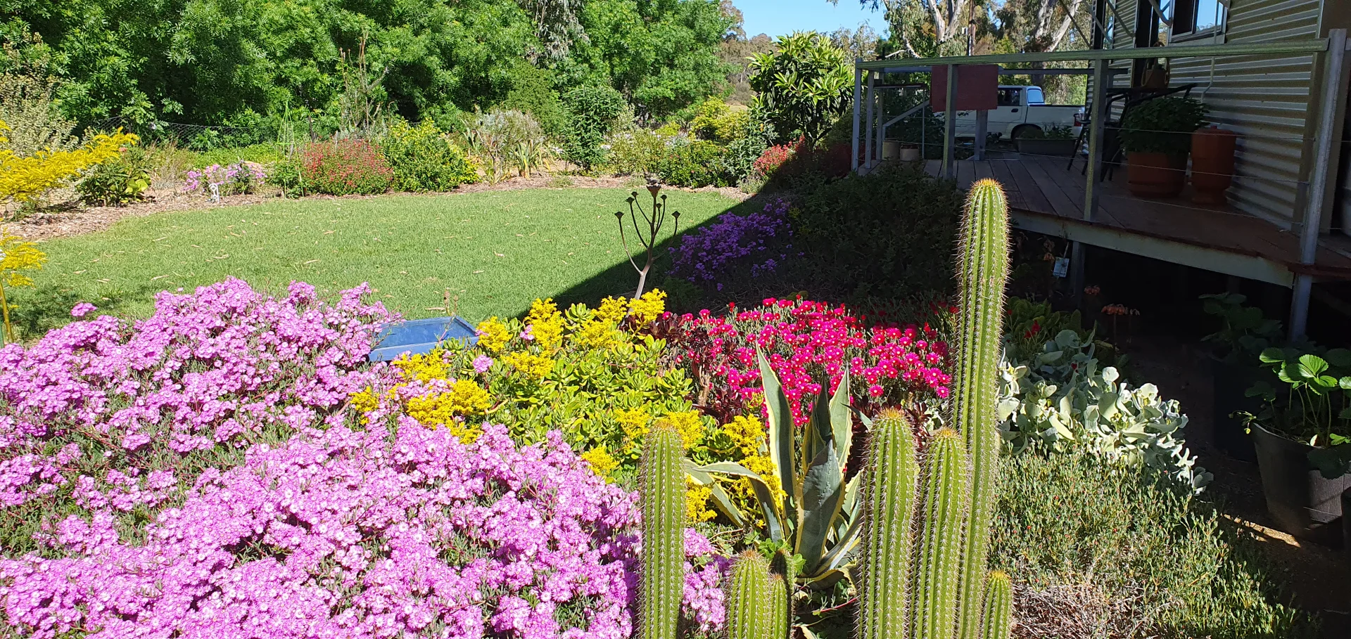 Additional image 14 of 6 Tantalla Street, Wedderburn VIC 3518