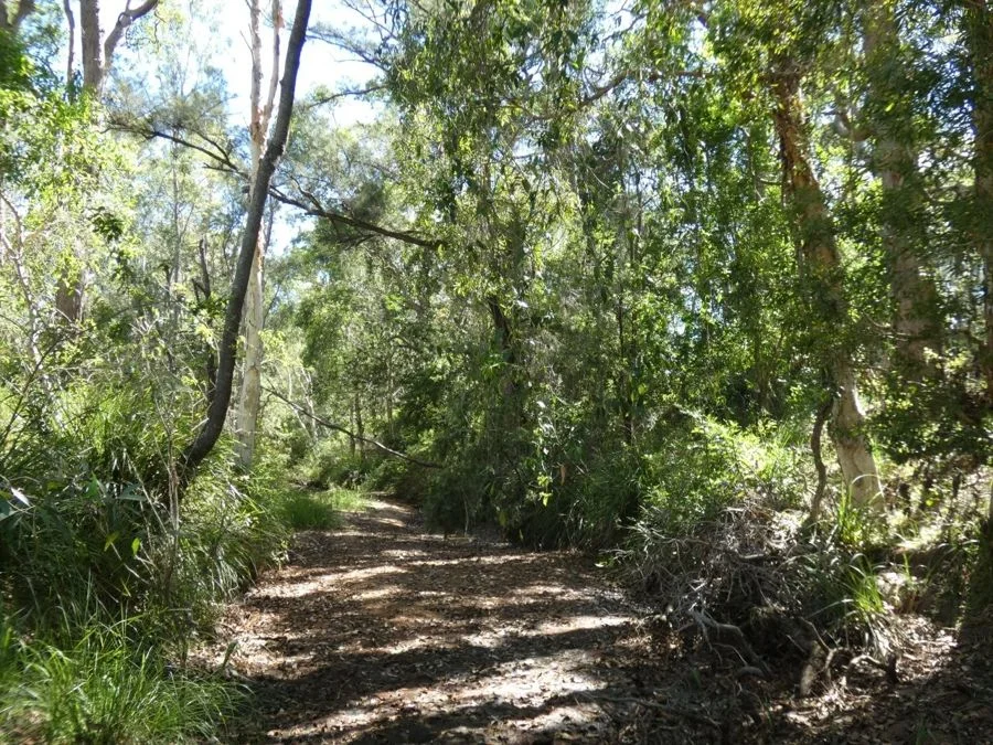 Additional image 25 of 45 Sheahan Road, Berajondo QLD 4674