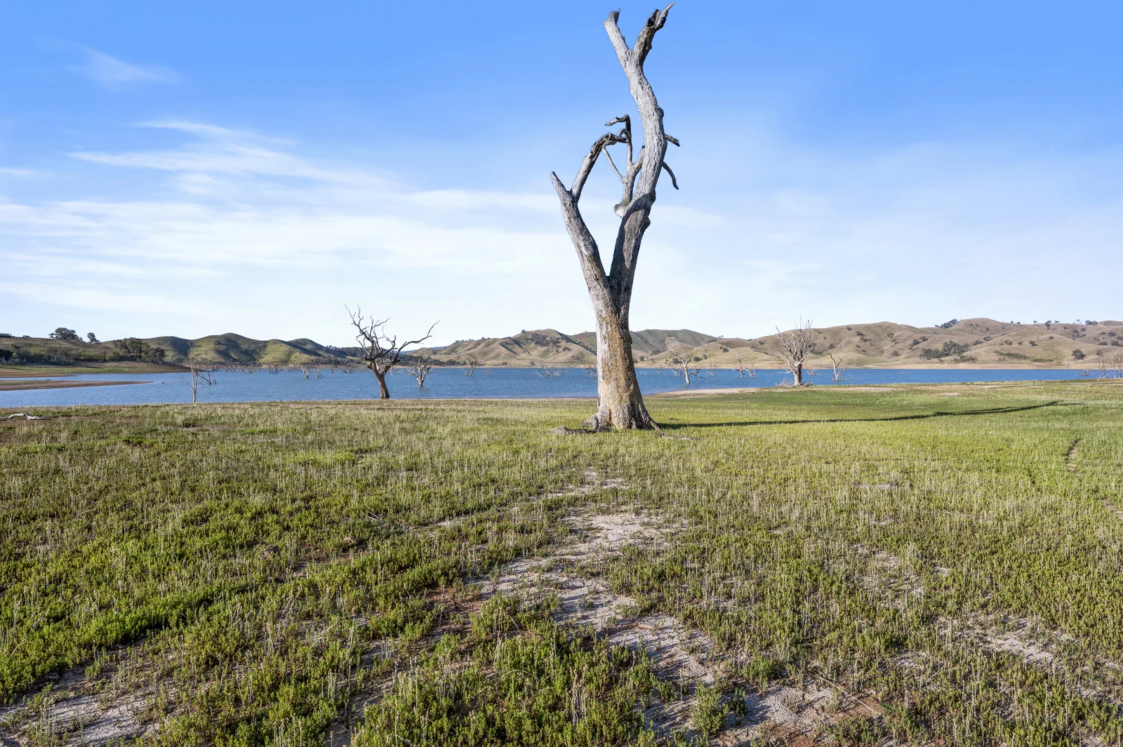 Additional image 15 of 165 Homepoint Drive, Bonnie Doon VIC 3720