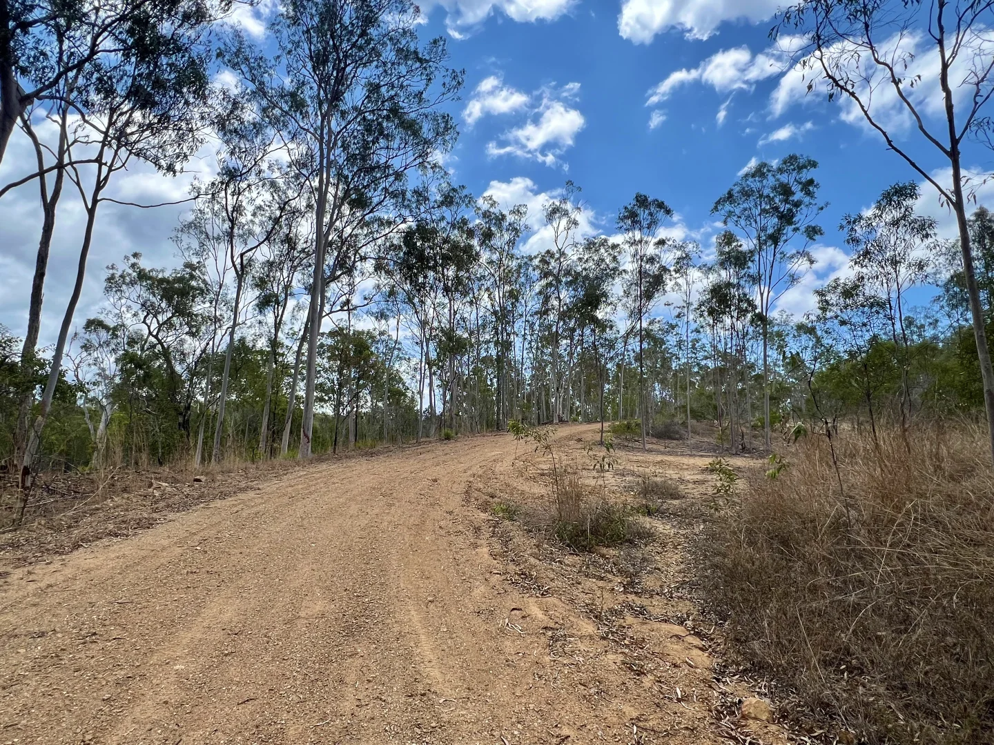 Additional image 16 of 380 Wildman Road, Iveragh QLD 4680