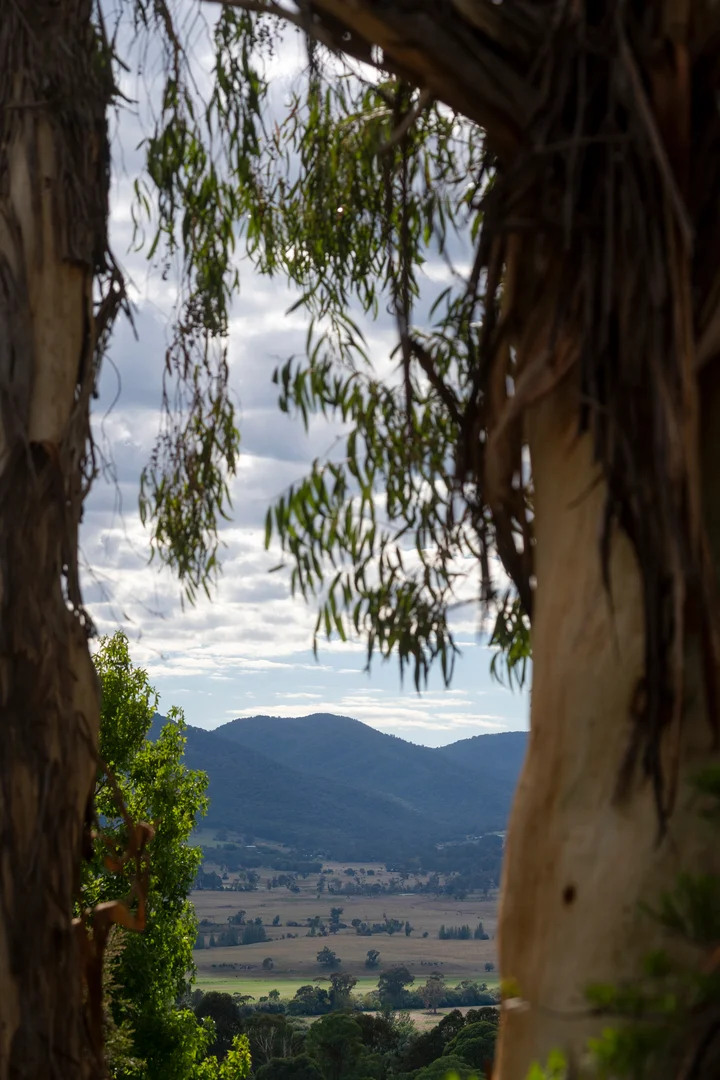 Additional image 21 of 27 Buckland Street, Tawonga South VIC 3698