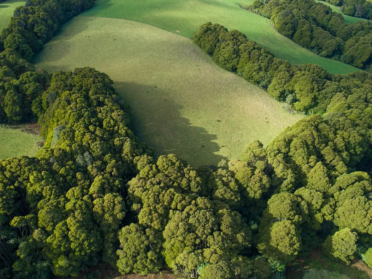 Additional image 16 of 125 Beech Forest - Lavers Hill Road, Beech Forest VIC 3237