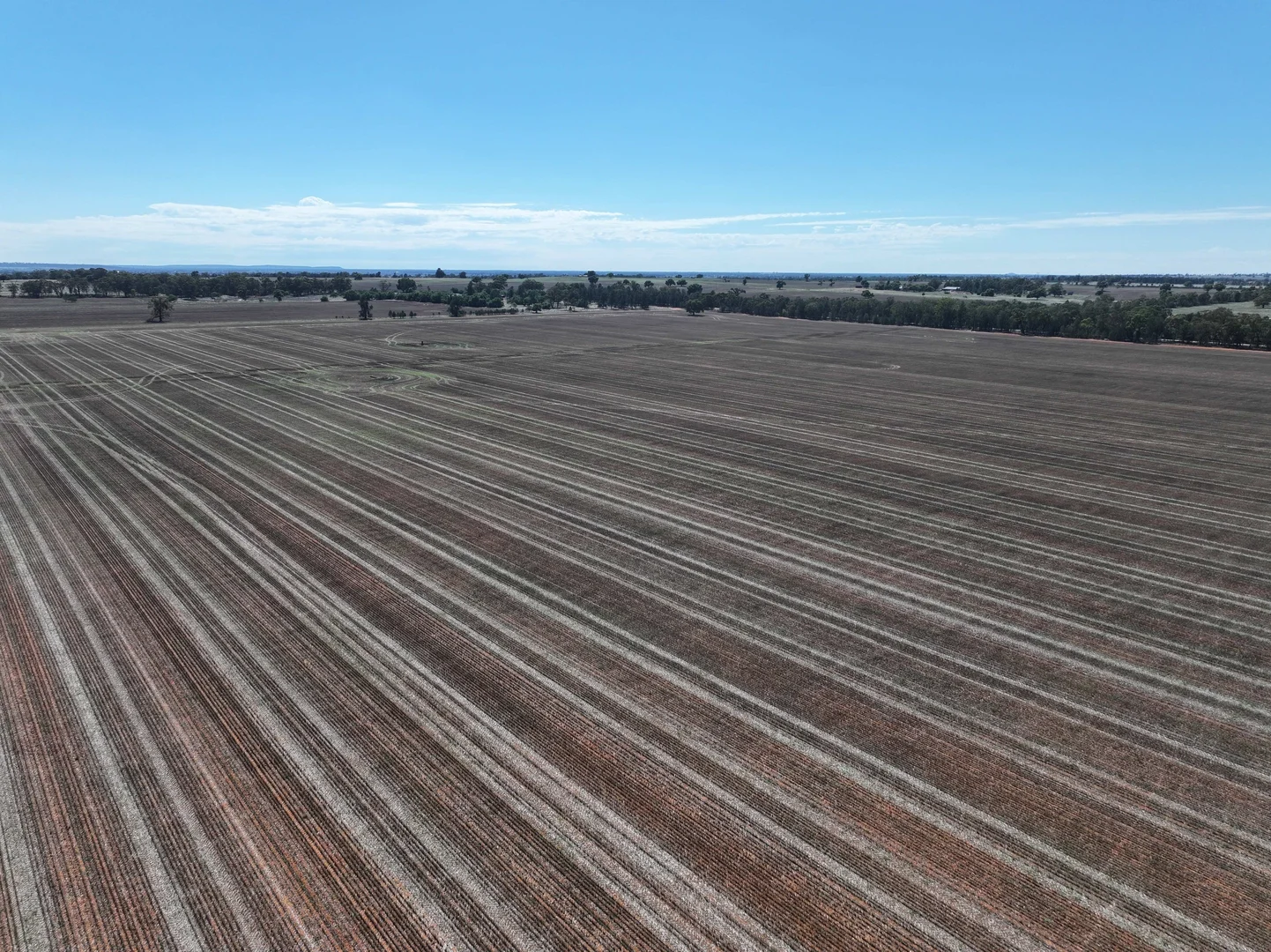 Additional image 3 of Shannonvale & Elmore Strontian Road, Boree Creek NSW 2652