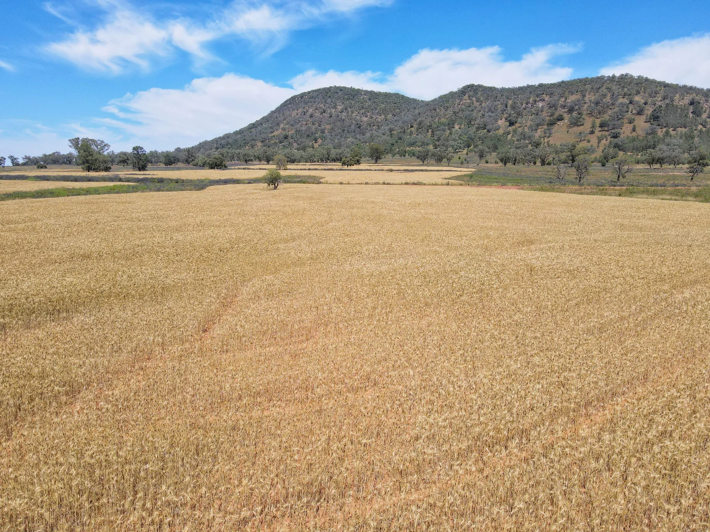 Additional image 27 of 179 Mittons Lane 'Lorna Doone', Pinnacle NSW 2810