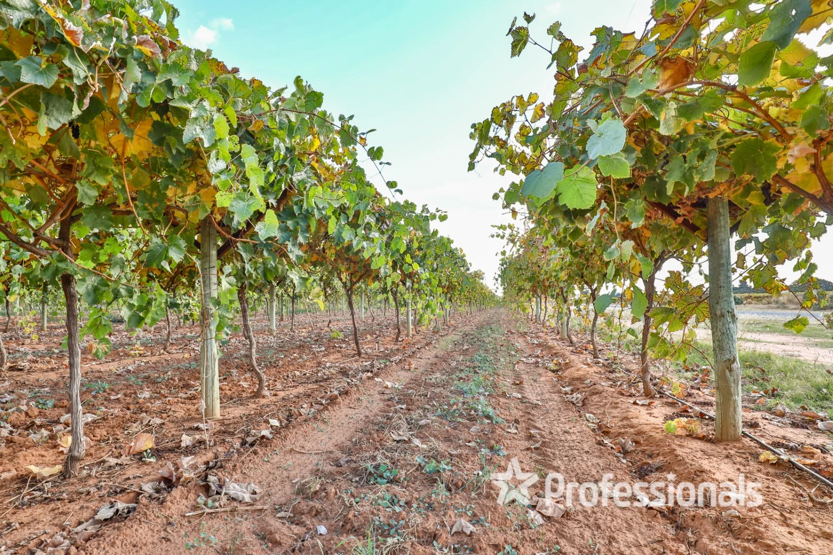 Additional image 13 of Lot 2 Myall Street, Cardross VIC 3496