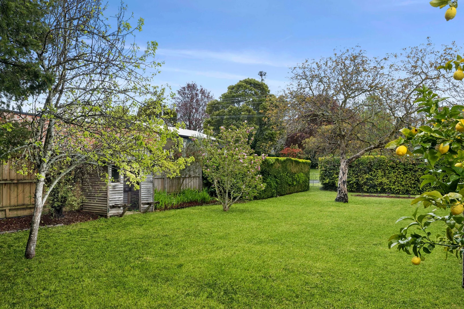 Additional image 14 of 26 Stanbridge Street, Daylesford VIC 3460