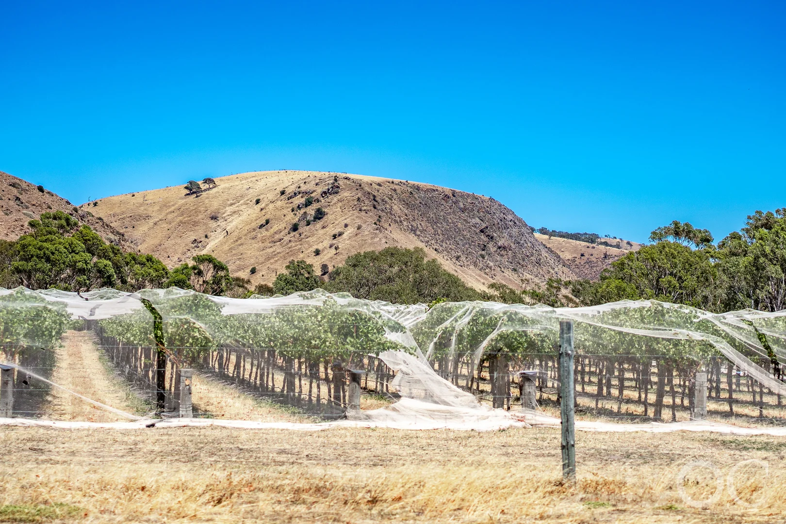 Additional image 26 of 4/55 The Vines Drive, Normanville SA 5204