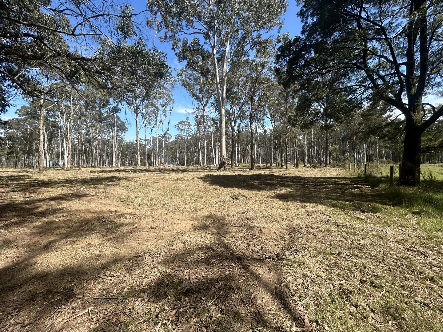 Additional image 8 of 175 Blighs Road, Trentham VIC 3458