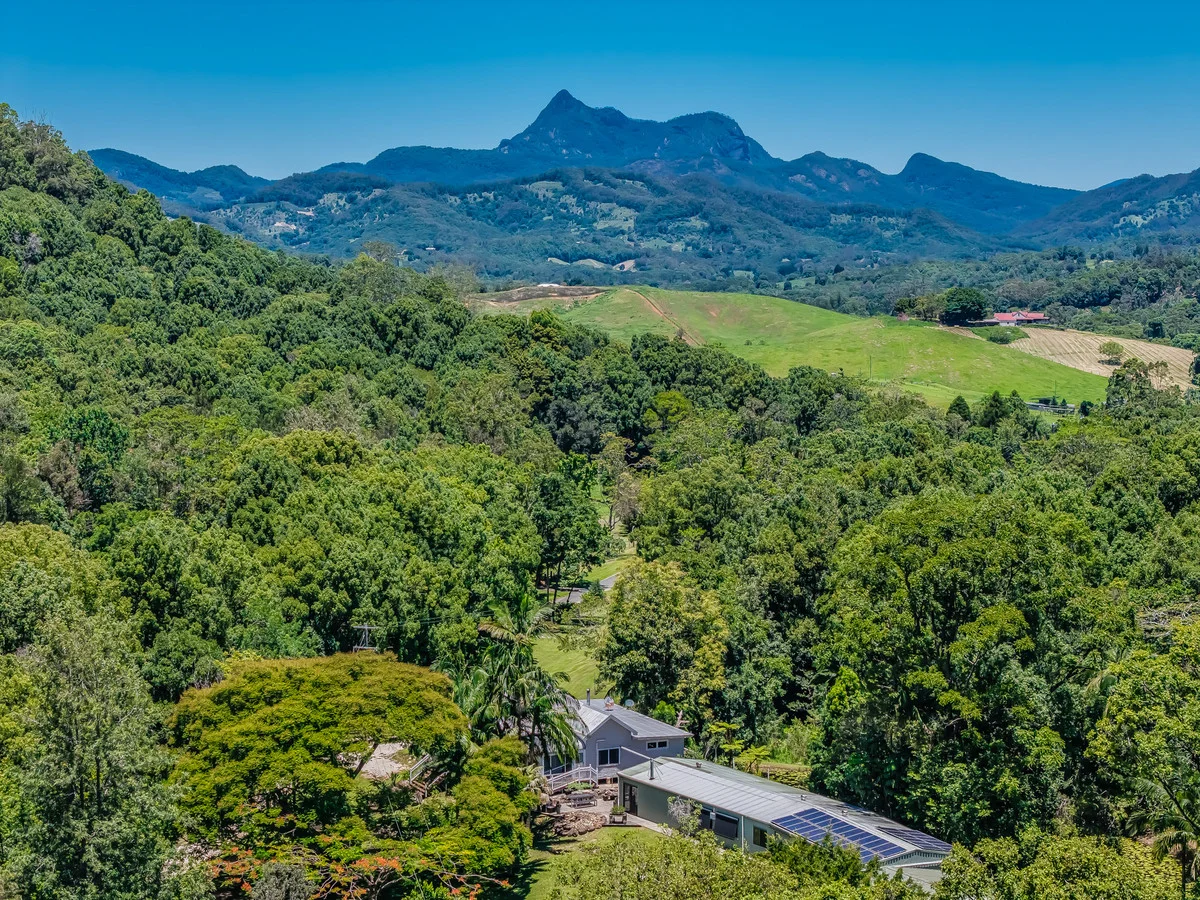 Additional image 2 of 837 Nobbys Creek Road, Nobbys Creek NSW 2484