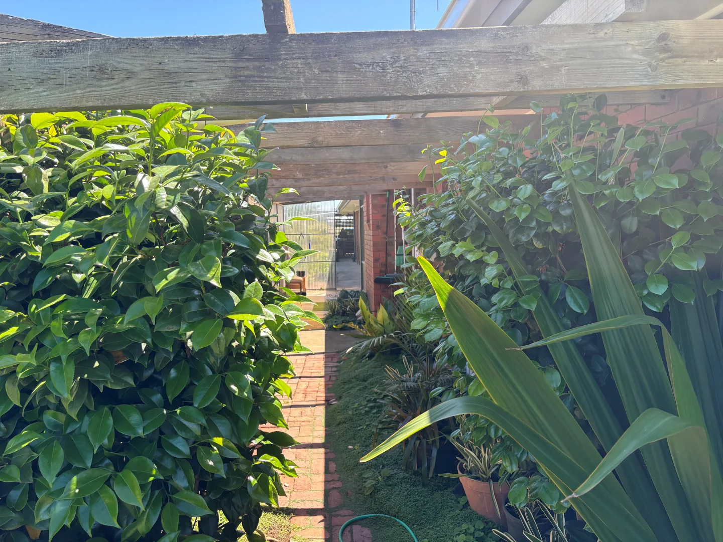 Additional image 30 of 1595 MacGregor Road, Timmering VIC 3561